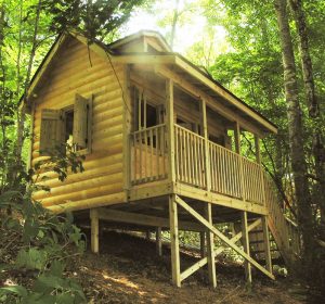 Large cabin with log walls, working shutters and dormers, built on a steep slope - Asheville Playgrounds