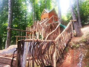 Log cabin on a hillside with rhododendron spindles - Asheville Playgrounds