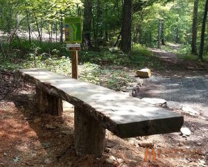 Locust slab bench at Rock Ridge Park in Pittsboro, NC - Asheville Playgrounds