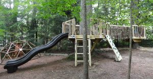 Natural playground built around the large trees at Montessori School in Can Creek, NC - Asheville Playgrounds